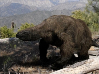 Ученые определили вес мамонтов и древних ленивцев