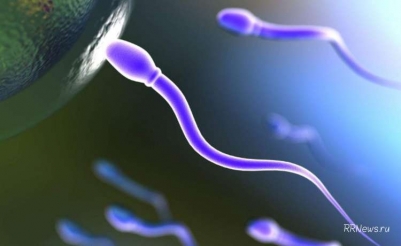Ученые впервые вырастили человеческие сперматозиоды