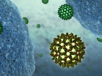 Вирус гепатита может избавить от рака
