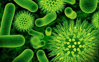 В США открыли новый вид бактерии, устойчивой ко всем известным антибиотикам