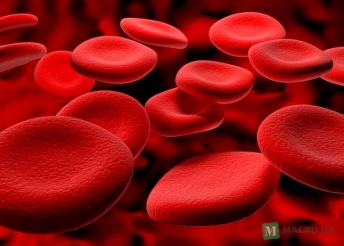 Какая самая редкая группа крови у человека
