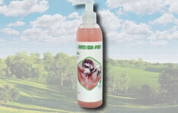 Пробиотический шампунь для волос Sviteco-PSS 250гр Полтава