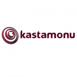 Ламинат Kastamonu Floorpan Classıc Киев